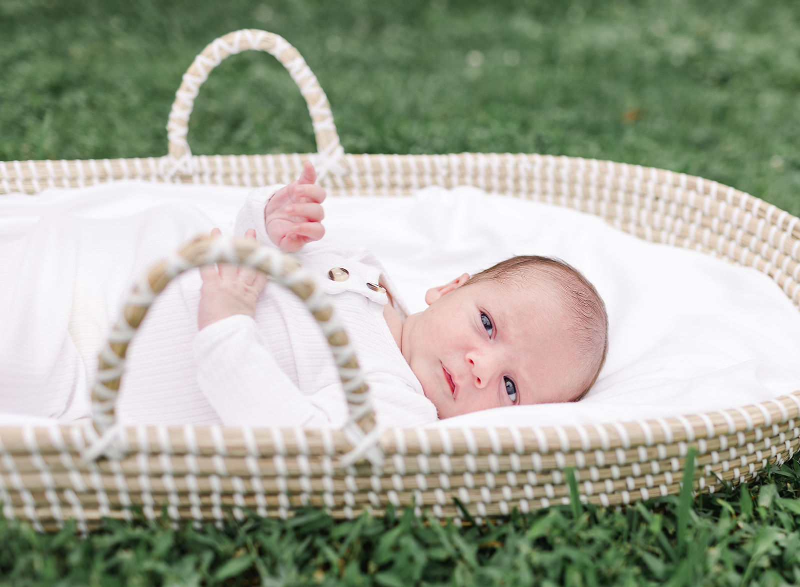 Baby laying in Moses basket