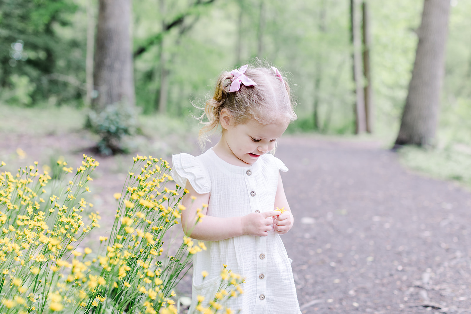 toddler picking flowers