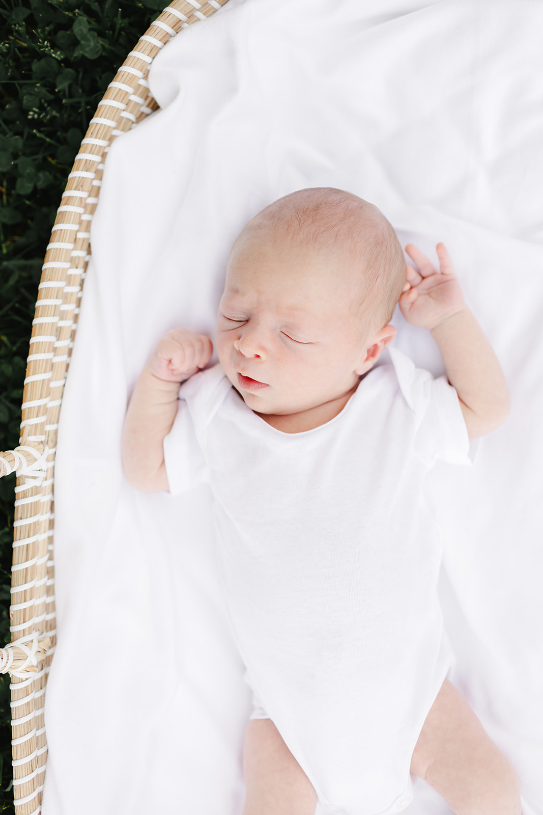 northern virginia newborn photographer