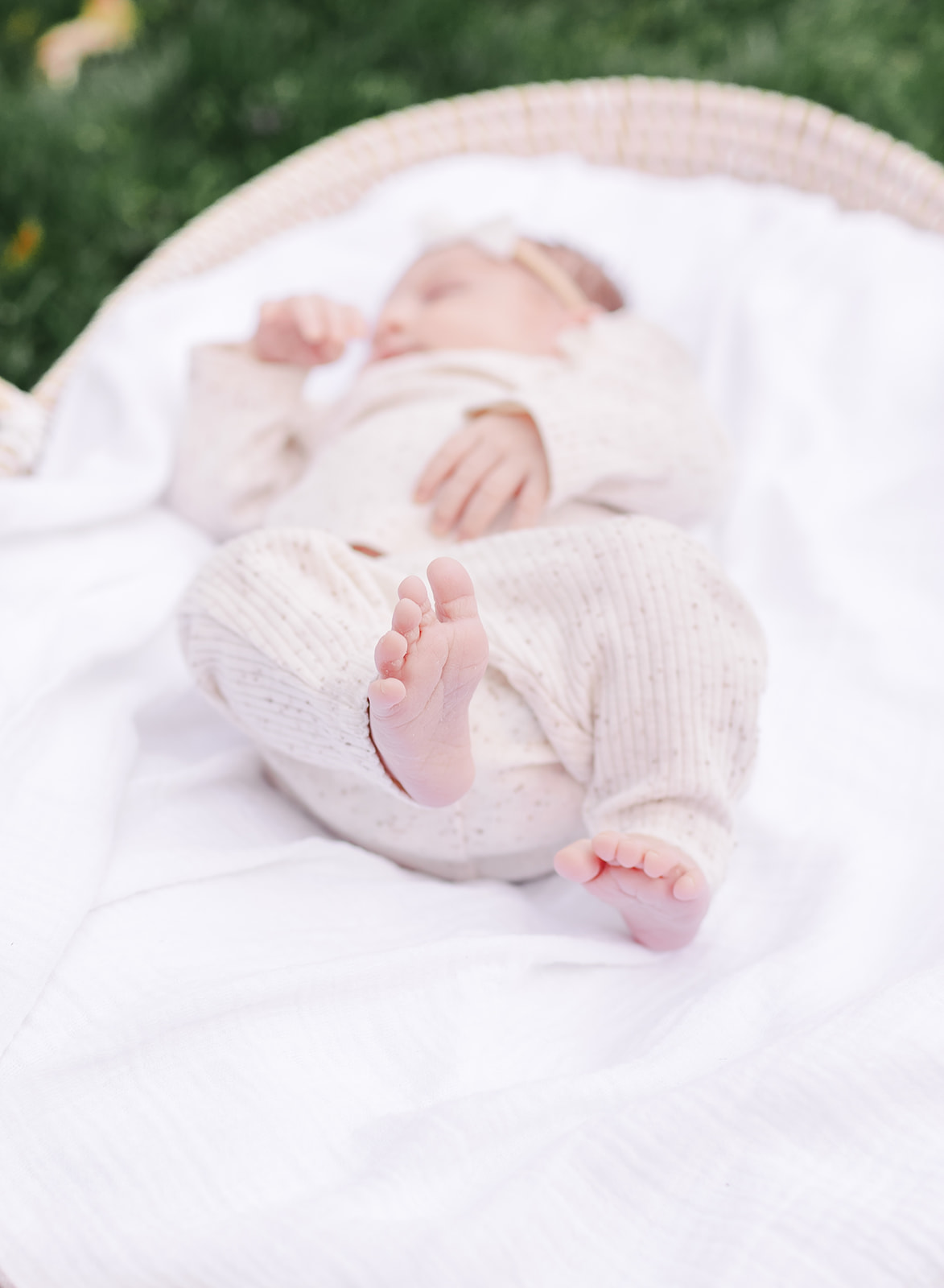 Rockville newborn session