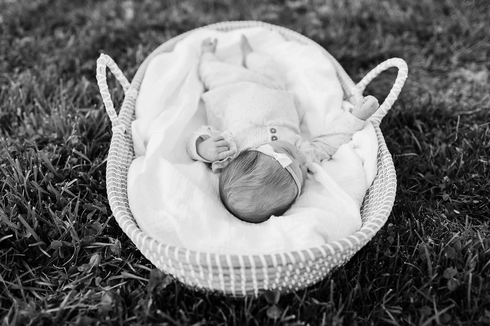 Rockville newborn session