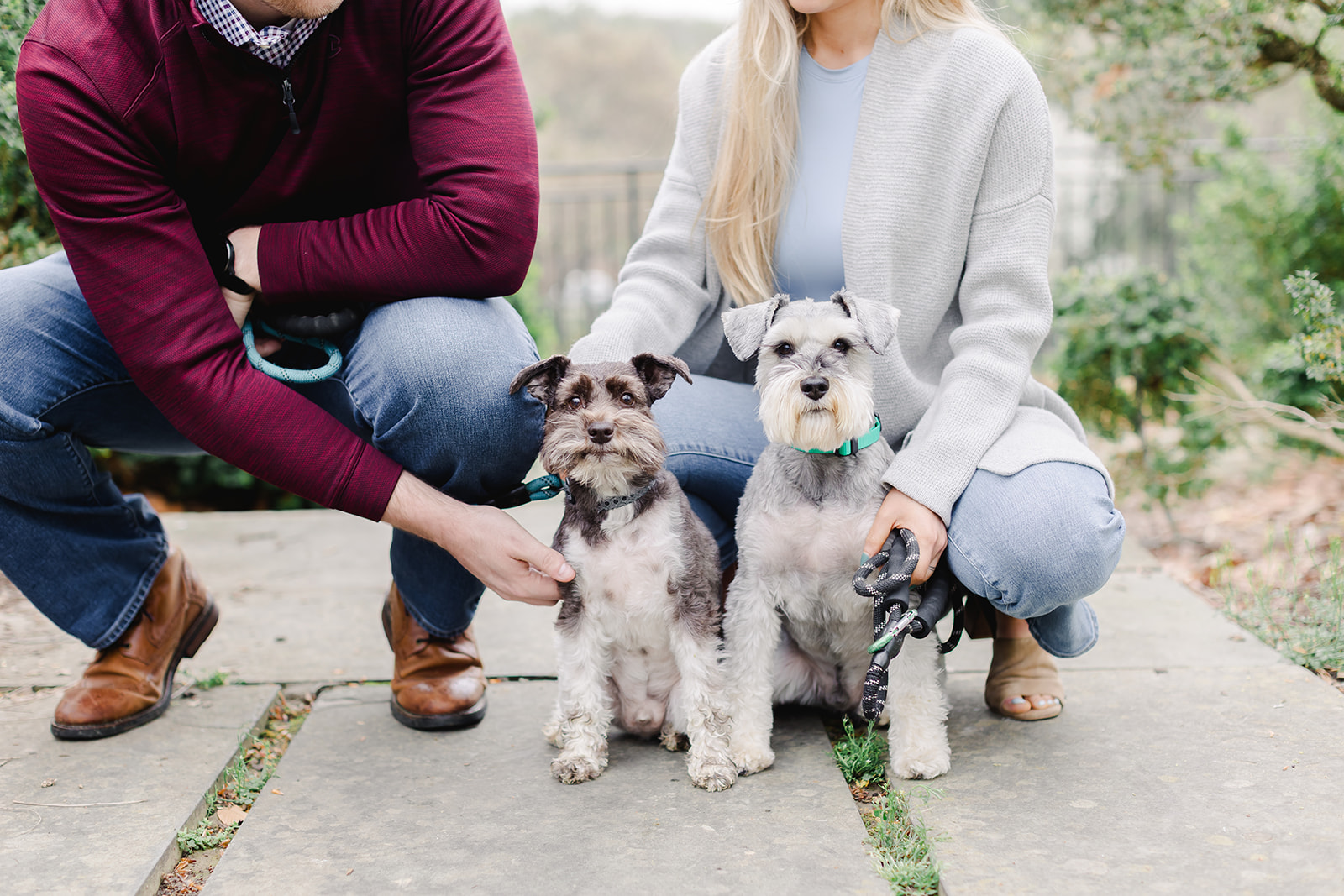 couple together with their two dogs in Maryland